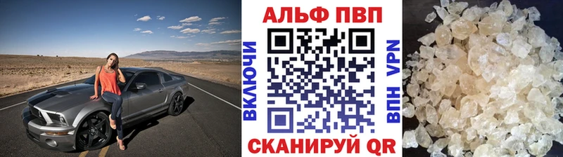 где найти   Пыть-Ях  Альфа ПВП СК 