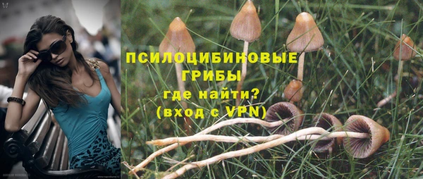 кокс Аркадак